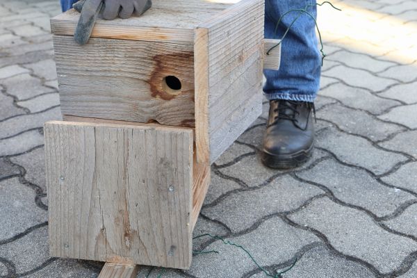 Birdhouse Mounting in Chester
